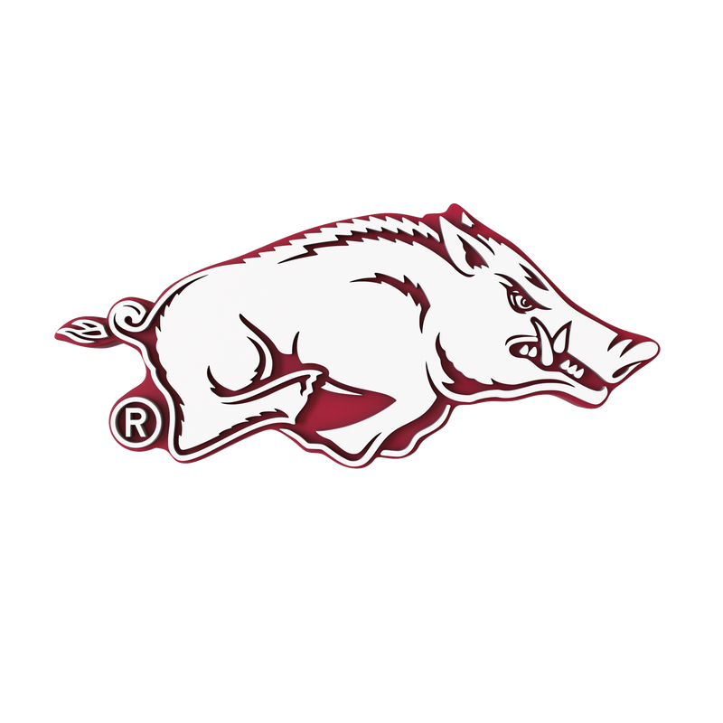 Arkansas Razorbacks
